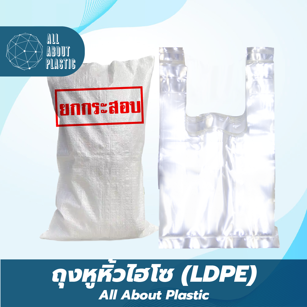 LDPE Bag size .25 mm 