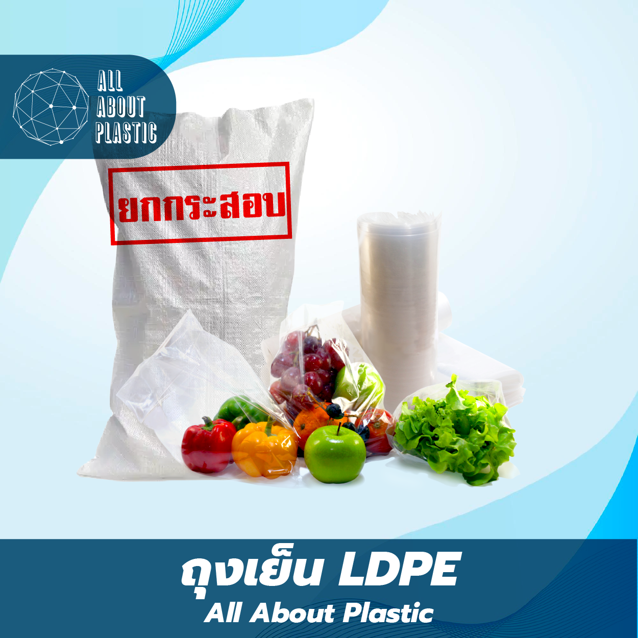 PP (Polypropylene) Bag 